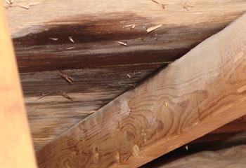 Angle Roofing & Gutter Company Images